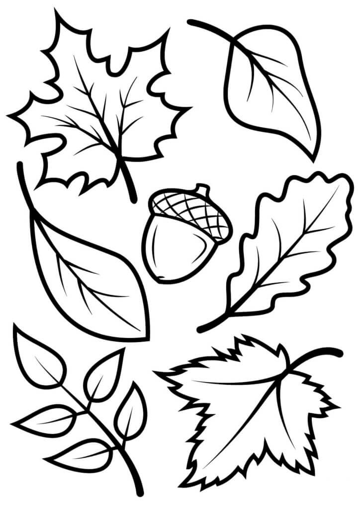 Online coloring book: Lonely acorn among the leaves coloring page